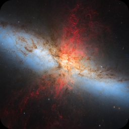 M82 HLA