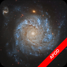 NGC1309